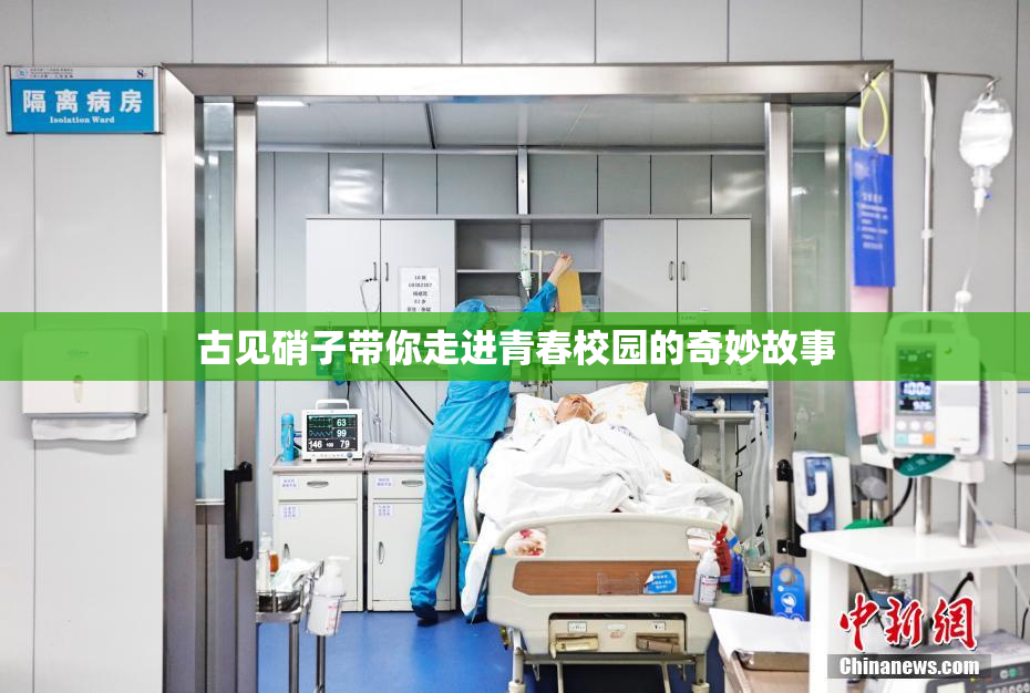 古见硝子带你走进青春校园的奇妙故事