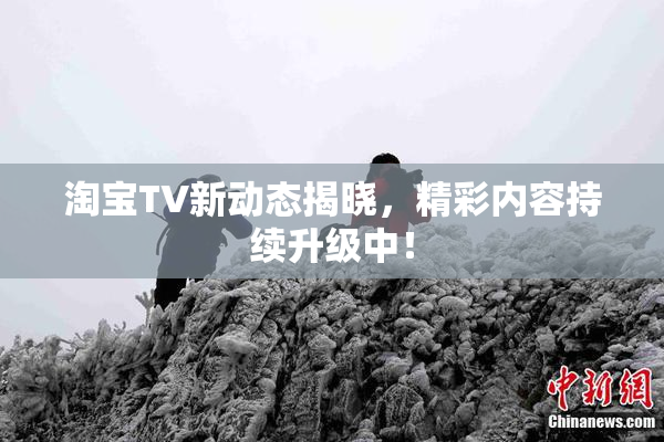 淘宝TV新动态揭晓，精彩内容持续升级中！