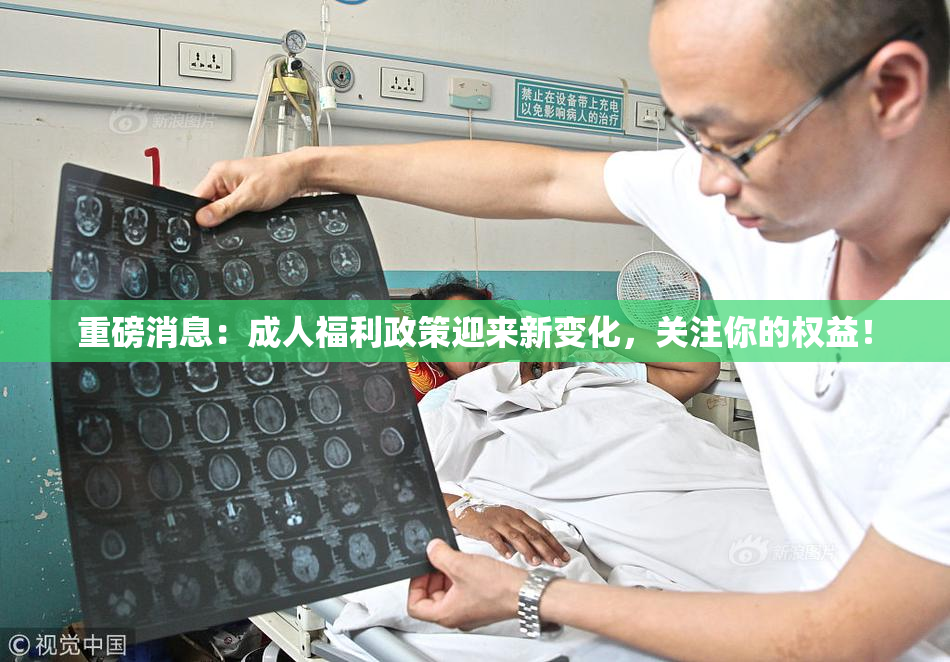 重磅消息：成人福利政策迎来新变化，关注你的权益！