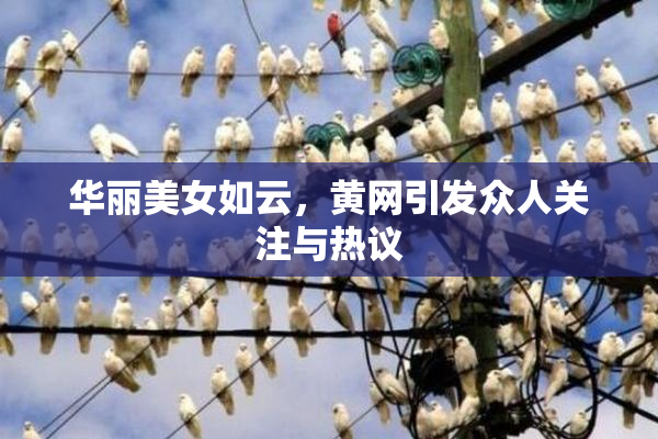 华丽美女如云，黄网引发众人关注与热议