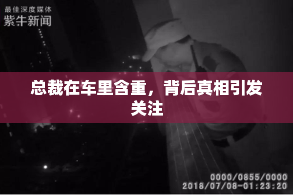 总裁在车里含重，背后真相引发关注