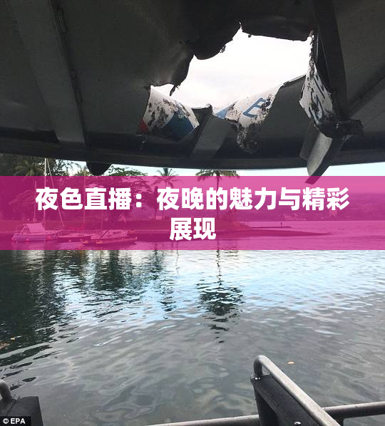 夜色直播：夜晚的魅力与精彩展现