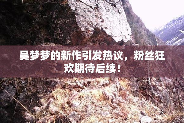 吴梦梦的新作引发热议，粉丝狂欢期待后续！