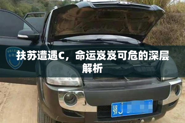 扶苏遭遇C，命运岌岌可危的深层解析