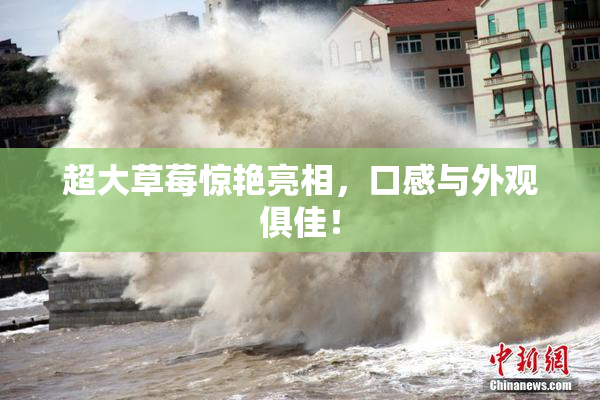 超大草莓惊艳亮相，口感与外观俱佳！