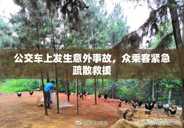 公交车上发生意外事故，众乘客紧急疏散救援