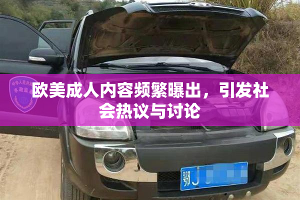 欧美成人内容频繁曝出，引发社会热议与讨论