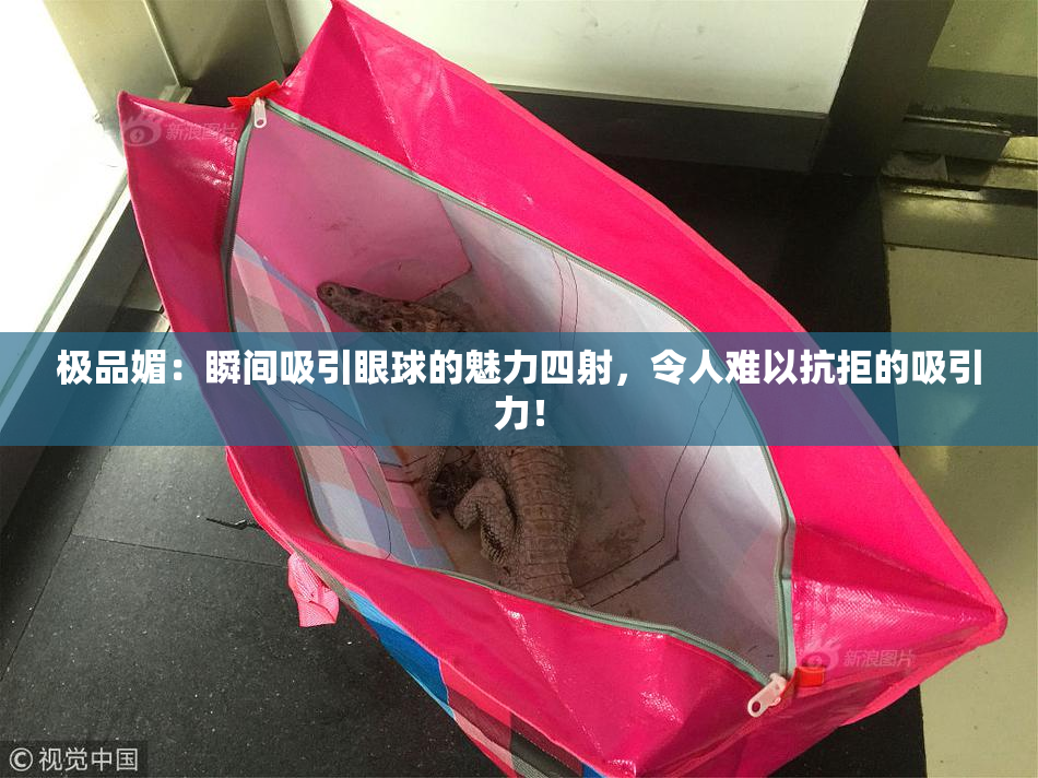 极品媚：瞬间吸引眼球的魅力四射，令人难以抗拒的吸引力！