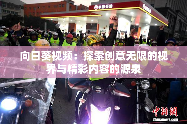 向日葵视频：探索创意无限的视界与精彩内容的源泉