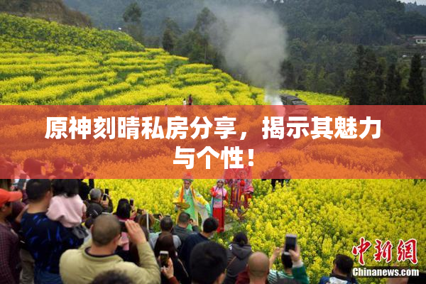原神刻晴私房分享，揭示其魅力与个性！