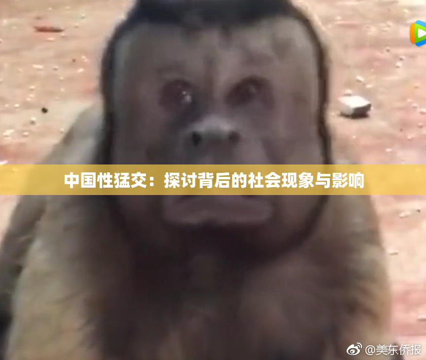 中国性猛交：探讨背后的社会现象与影响