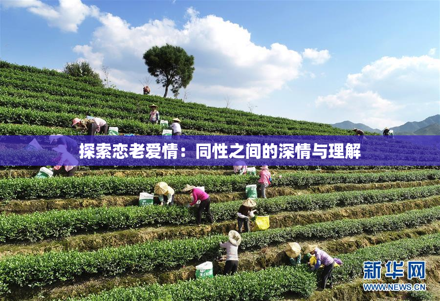 探索恋老爱情：同性之间的深情与理解