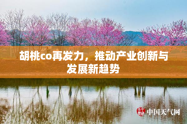 胡桃co再发力，推动产业创新与发展新趋势