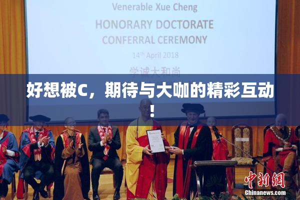 好想被C，期待与大咖的精彩互动！