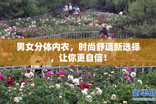 男女分体内衣，时尚舒适新选择，让你更自信！