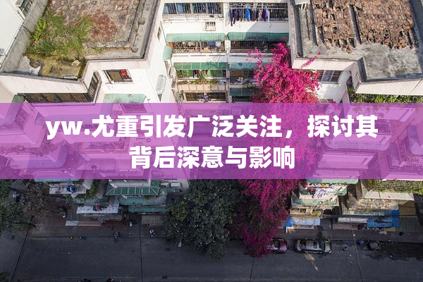 yw.尤重引发广泛关注，探讨其背后深意与影响