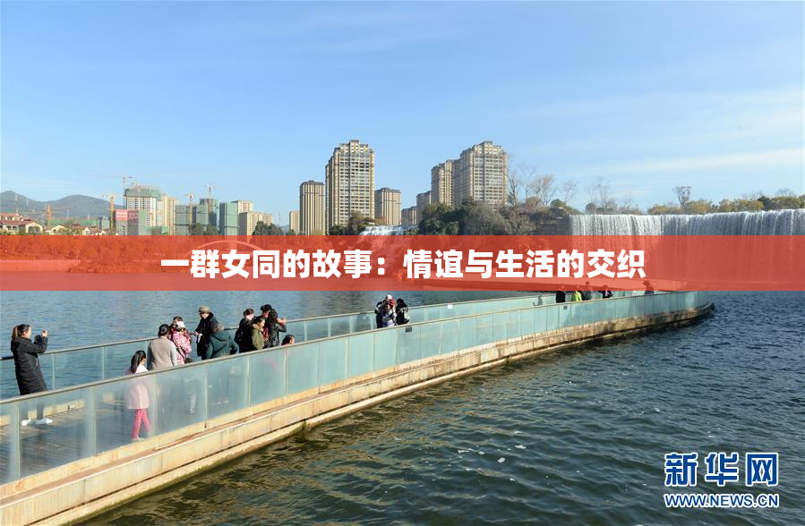 一群女同的故事：情谊与生活的交织
