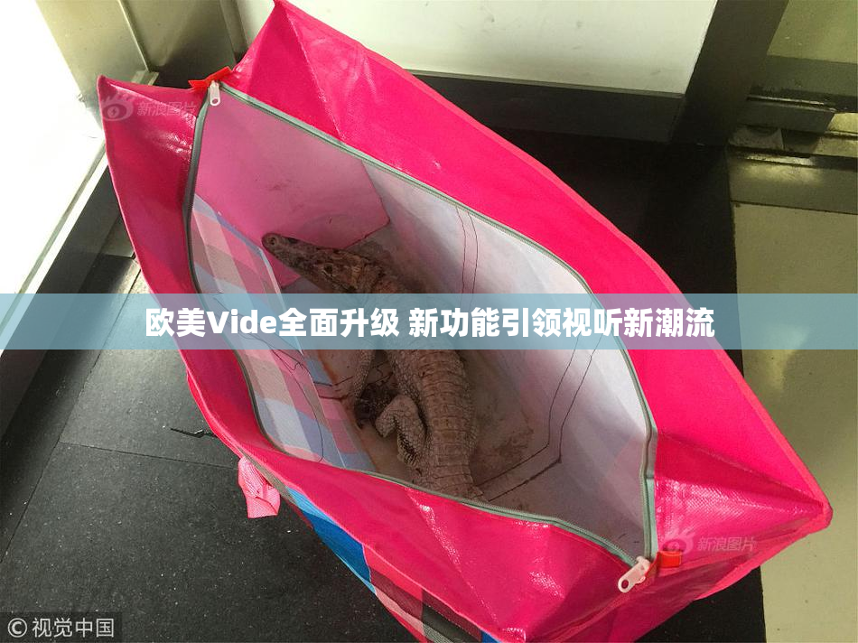 欧美Vide全面升级 新功能引领视听新潮流