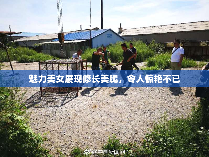 魅力美女展现修长美腿，令人惊艳不已