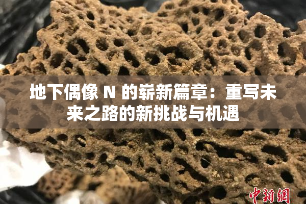 地下偶像 N 的崭新篇章：重写未来之路的新挑战与机遇