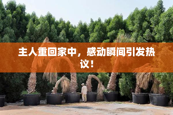 主人重回家中，感动瞬间引发热议！