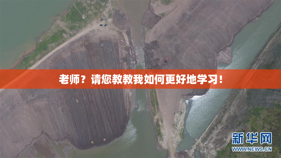 老师？请您教教我如何更好地学习！