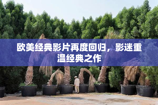 欧美经典影片再度回归，影迷重温经典之作