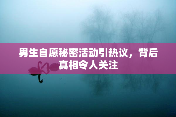 男生自愿秘密活动引热议，背后真相令人关注