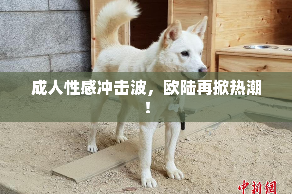 成人性感冲击波，欧陆再掀热潮！
