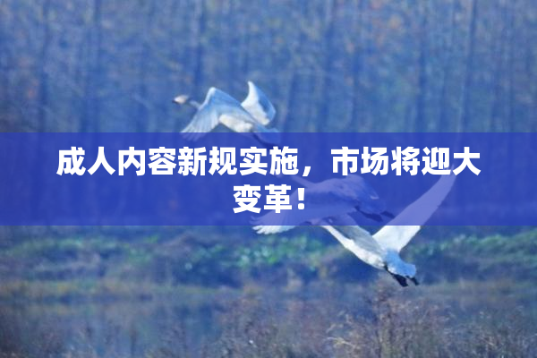 成人内容新规实施，市场将迎大变革！