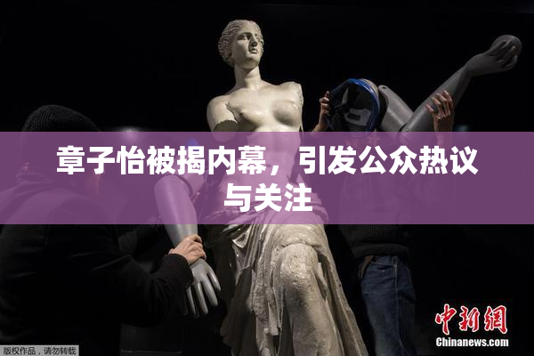 章子怡被揭内幕，引发公众热议与关注