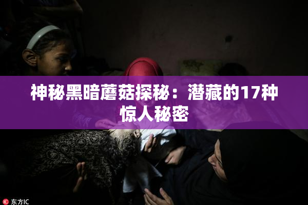 神秘黑暗蘑菇探秘：潜藏的17种惊人秘密