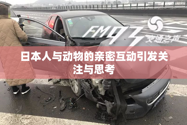 日本人与动物的亲密互动引发关注与思考