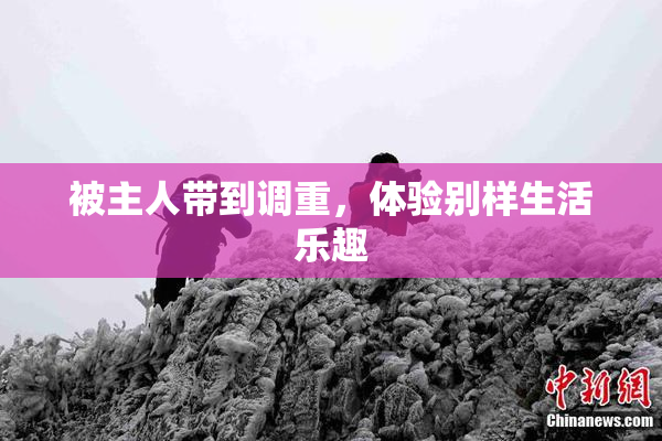 被主人带到调重，体验别样生活乐趣