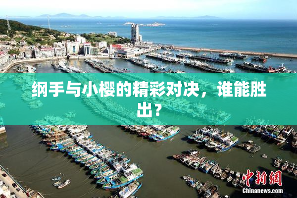 纲手与小樱的精彩对决，谁能胜出？