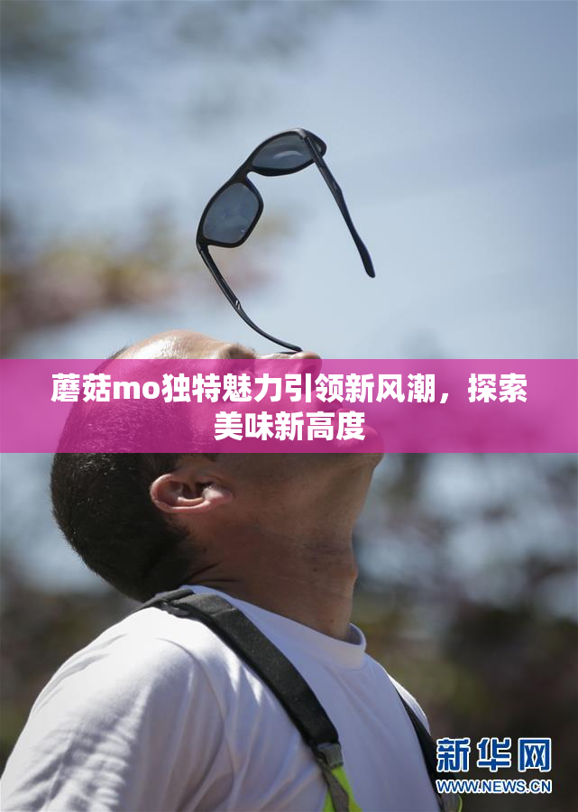蘑菇mo独特魅力引领新风潮，探索美味新高度