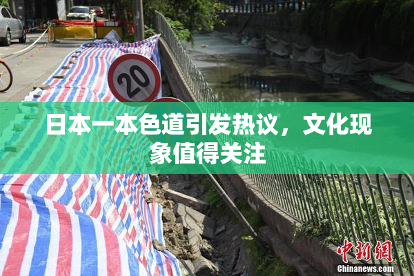 日本一本色道引发热议，文化现象值得关注