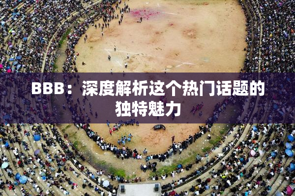 BBB：深度解析这个热门话题的独特魅力