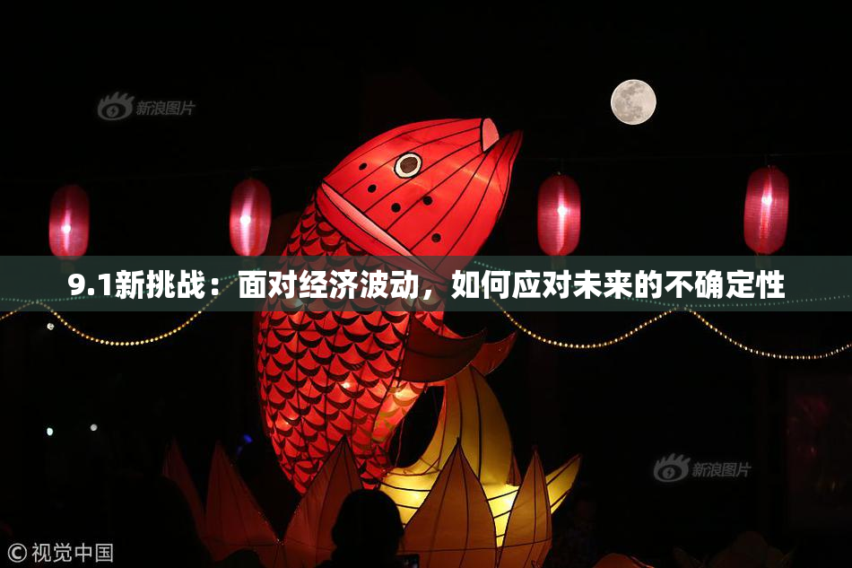 9.1新挑战：面对经济波动，如何应对未来的不确定性