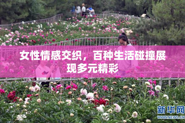 女性情感交织，百种生活碰撞展现多元精彩