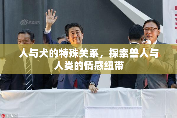 人与犬的特殊关系，探索兽人与人类的情感纽带