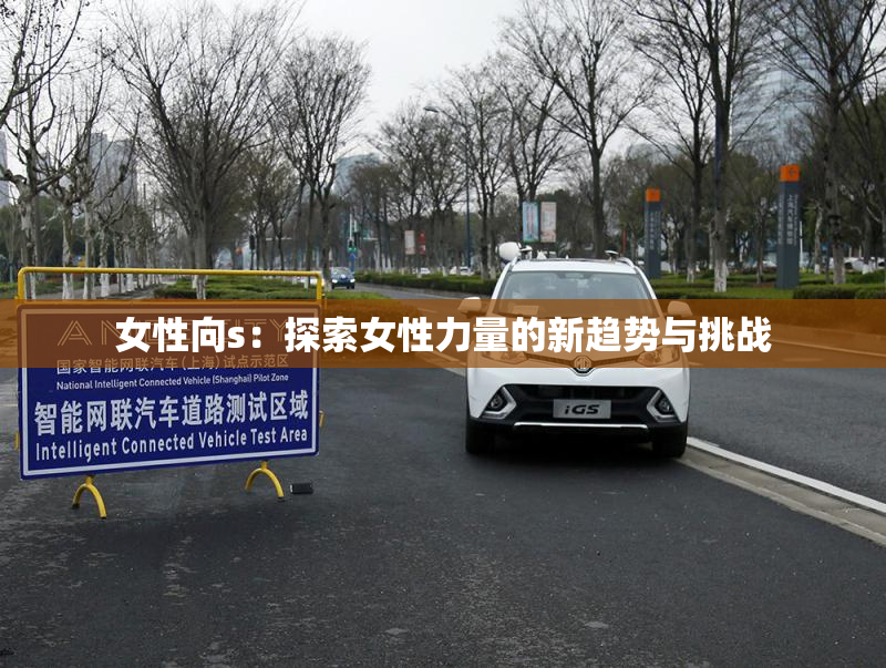女性向s：探索女性力量的新趋势与挑战