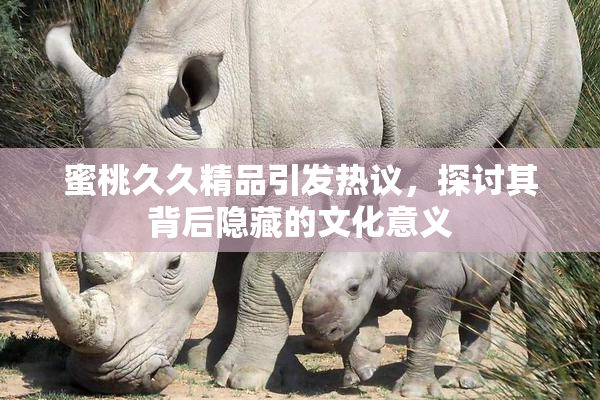 蜜桃久久精品引发热议，探讨其背后隐藏的文化意义