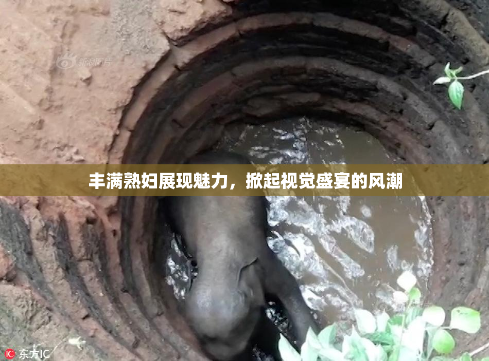 丰满熟妇展现魅力，掀起视觉盛宴的风潮