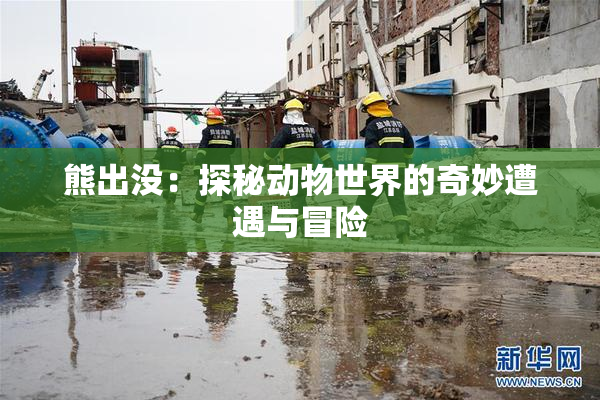 熊出没：探秘动物世界的奇妙遭遇与冒险