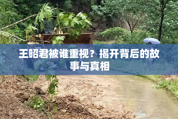 王昭君被谁重视？揭开背后的故事与真相
