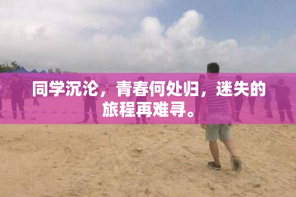 同学沉沦，青春何处归，迷失的旅程再难寻。