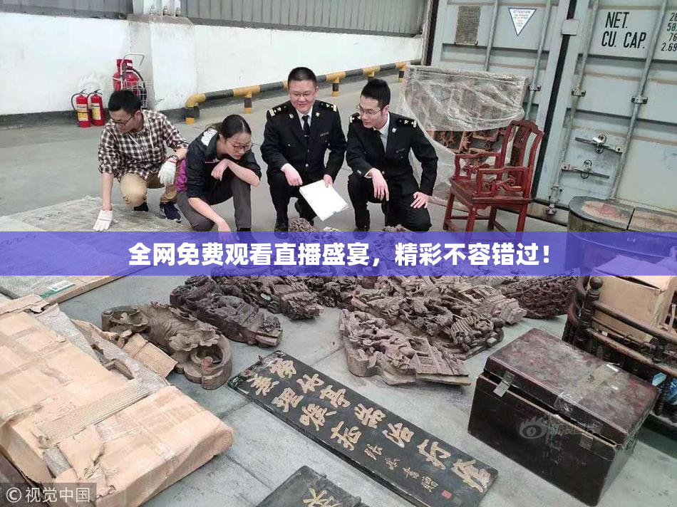 全网免费观看直播盛宴，精彩不容错过！