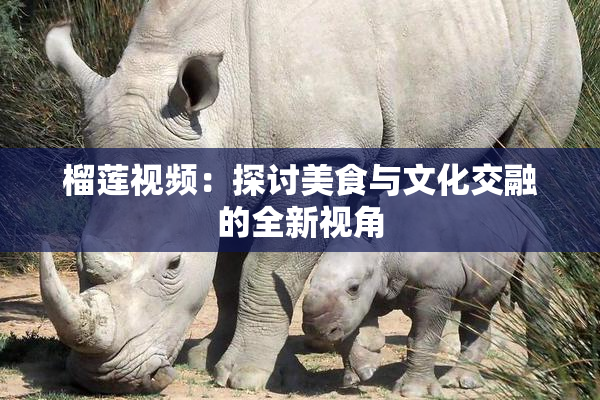 榴莲视频：探讨美食与文化交融的全新视角
