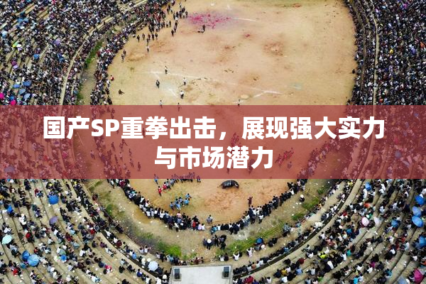国产SP重拳出击，展现强大实力与市场潜力